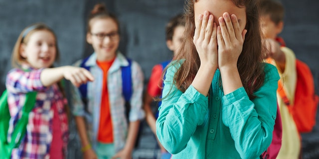 A draft of the ordinance, which prohibits bullying, harassment and retaliation, was proposed by Wisconsin Rapids Public Schools Superintendent Craig Broeren after a viral social media incident that showed handwritten notes a local middle school girl had received from her peers urging her to kill herself.