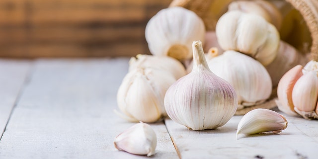 Garlic is a bulbous flowering plant in the lily family.
