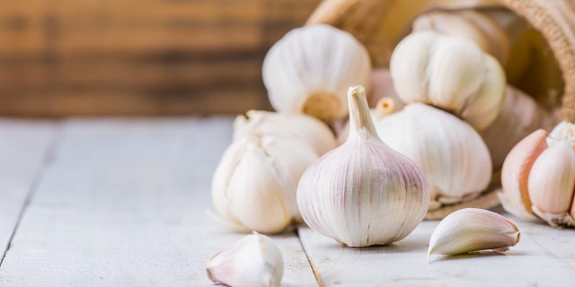 Garlic is a bulbous flowering plant in the lily family.