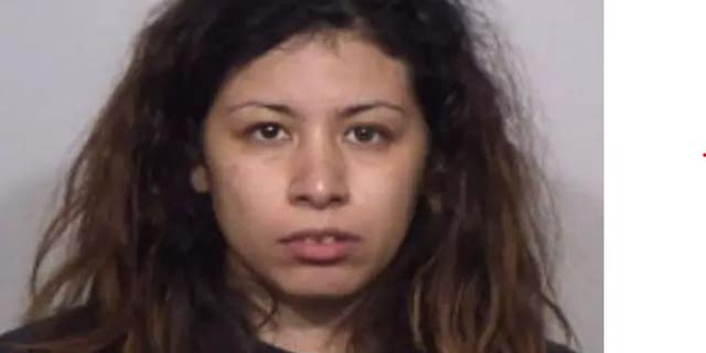 Tisha Sanchez faces charges in connection with the death of her 8-year-old son.