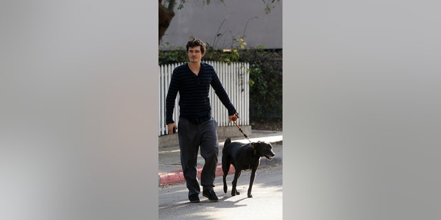 Orlando Bloom walks his dog, Sidi, on December 02, 2010 in Los Angeles