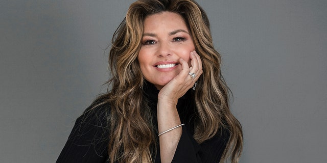 shania twain dress