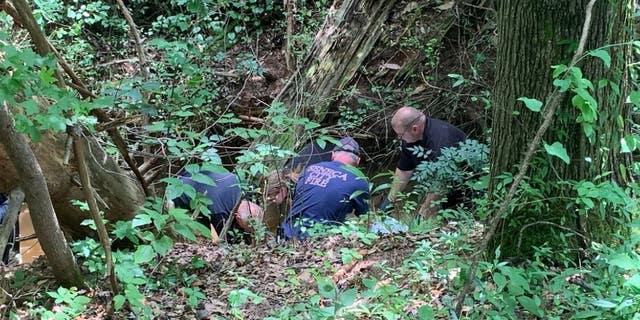 A woman’s head and torso were found in a creek in northwestern South Carolina right before the search was called off, police said.
