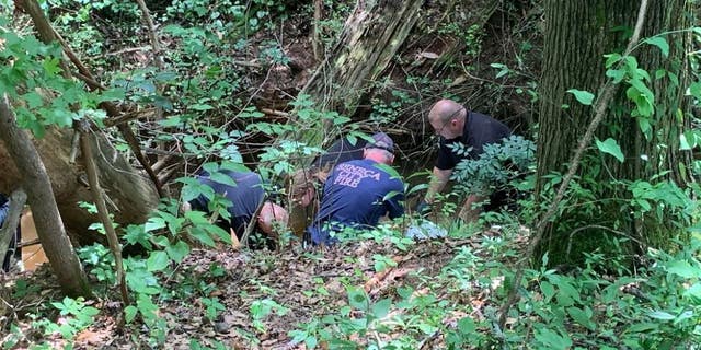 A woman’s head and torso were found in a creek in northwestern South Carolina right before the search was called off, police said.