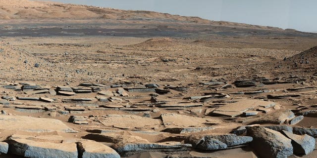 Could microbes survive on the surface of the Red Planet?