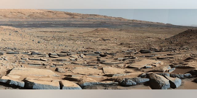 Could microbes survive on the surface of the Red Planet?