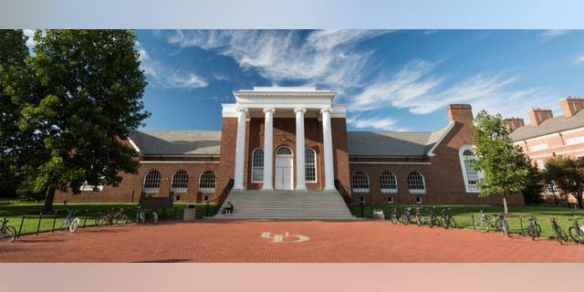 A University of Delaware student was six months from completing a doctorate when she was fatally struck by a car last week.