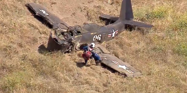 The Los Angeles fire department reported that an ambulance driver had found the pilot in the debris field where the plane had crashed into the Santa Susana Mountains.