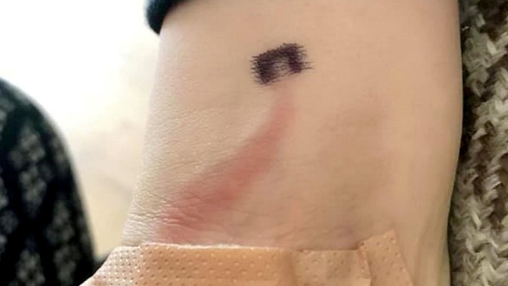 Fox News Flash top headlines for June 11