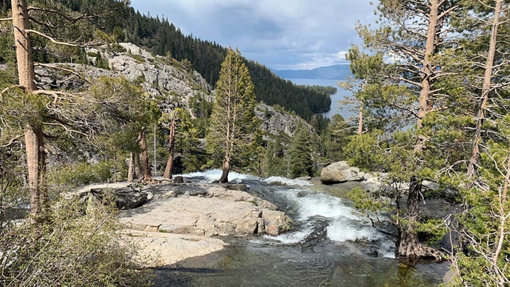 Fox News Flash top headlines for June 1