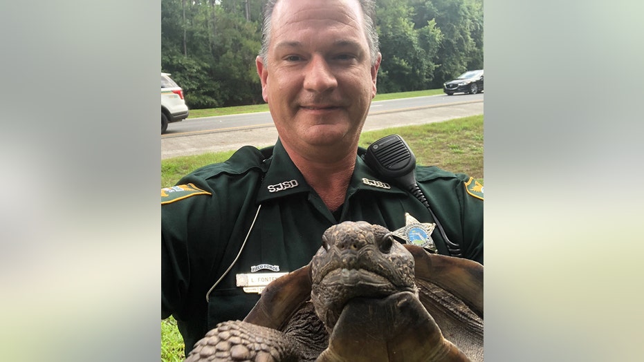 Slow Turtle Crossing >> Florida Police Detain Turtle For Crossing Road Slow And Steady Slow Turtle Crossing >> Florida Police Detain Turtle For Crossing Road Slow And Steady