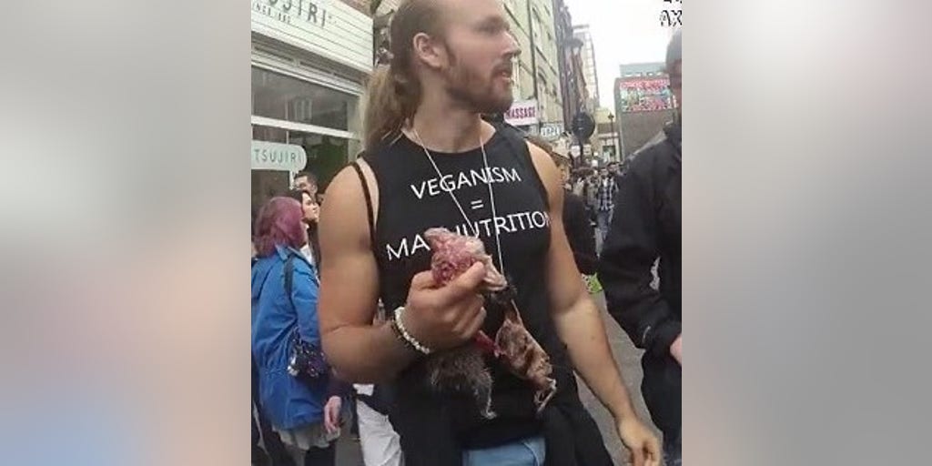 Men fined for eating raw squirrels at vegan event, causing 'significant distress' to attendees