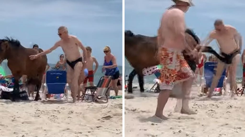 WATCH: Tourist learns the hard way not to pet wild horse at US beach