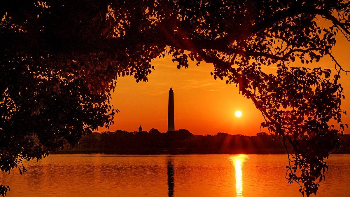Silhouette of Washington Monument