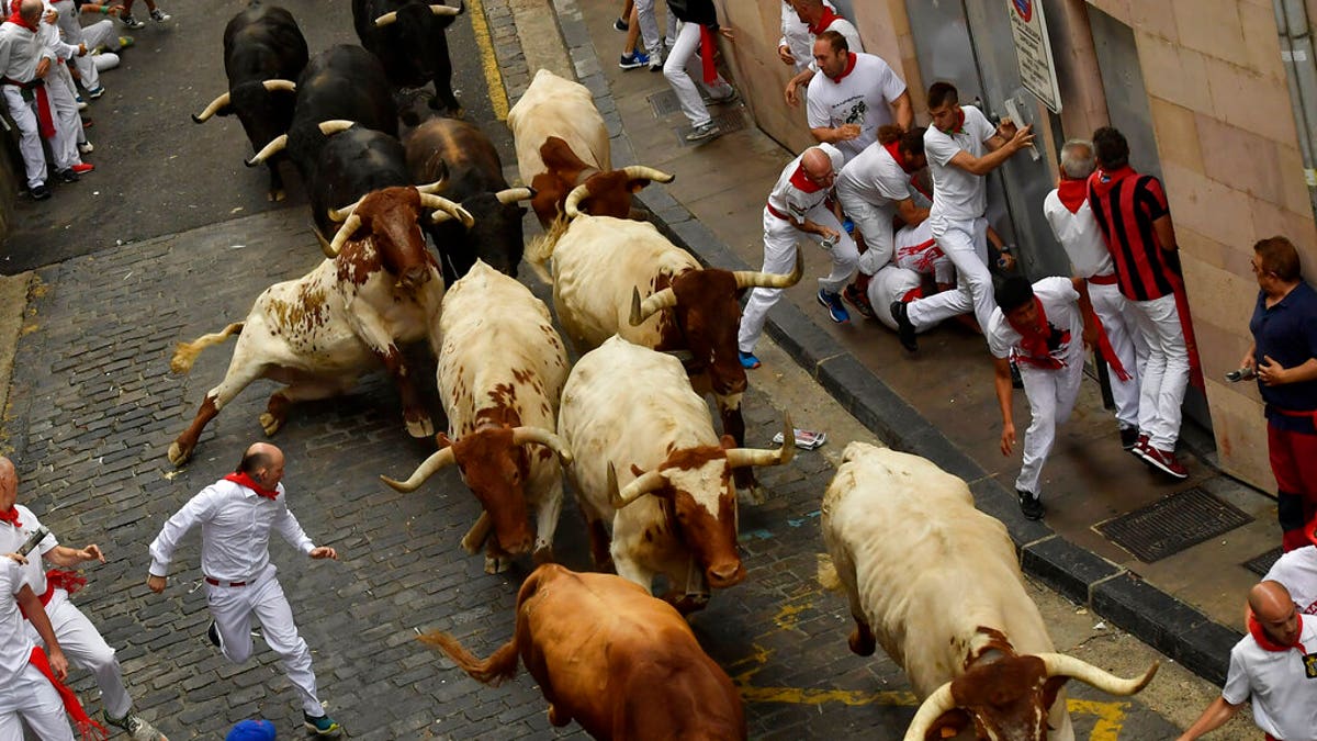 Revellers run next to fighting bulls during the running of the bulls at the San Fermin Festival, in Pamplona, northern Spain, Sunday, July 7, 2019. 