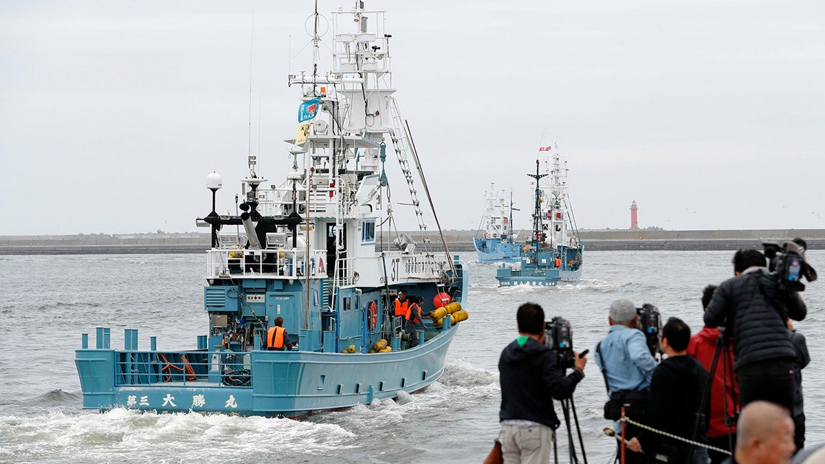 Whaling boat leave a port in Kushiro, Hokkaido, northern Japan Monday, July 1, 2019. Japan is resuming commercial whaling for the first time in 31 years, a long-cherished goal seen as a largely lost cause. (Masanori Takei/Kyodo News via AP)