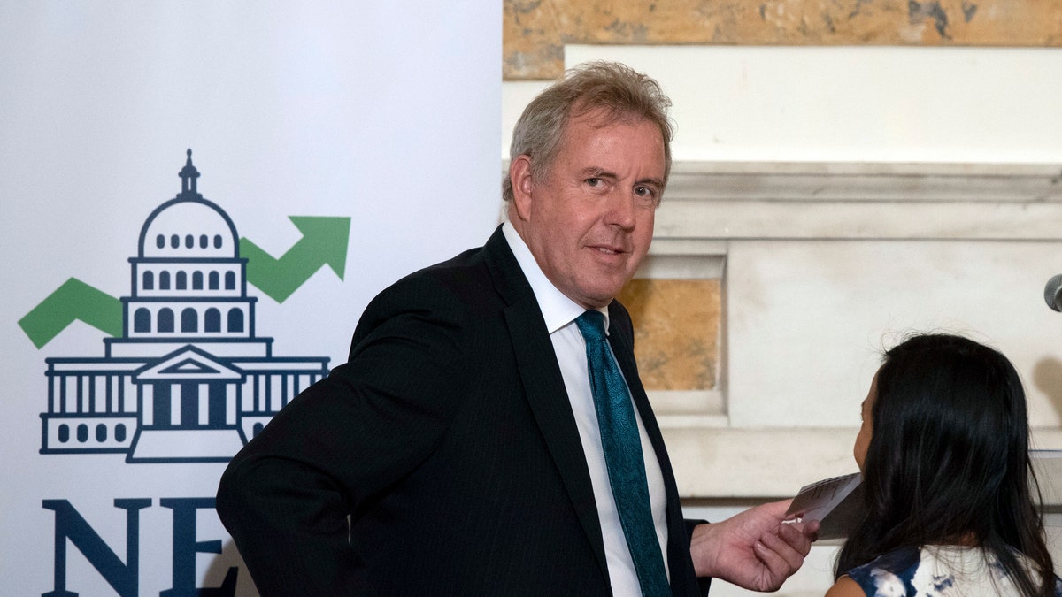 British Ambassador Kim Darroch, seen here in October 2017, described President Trump's administration as "clumsy and inept" in a leaked diplomatic cable. (AP Photo/Sait Serkan Gurbuz, File)