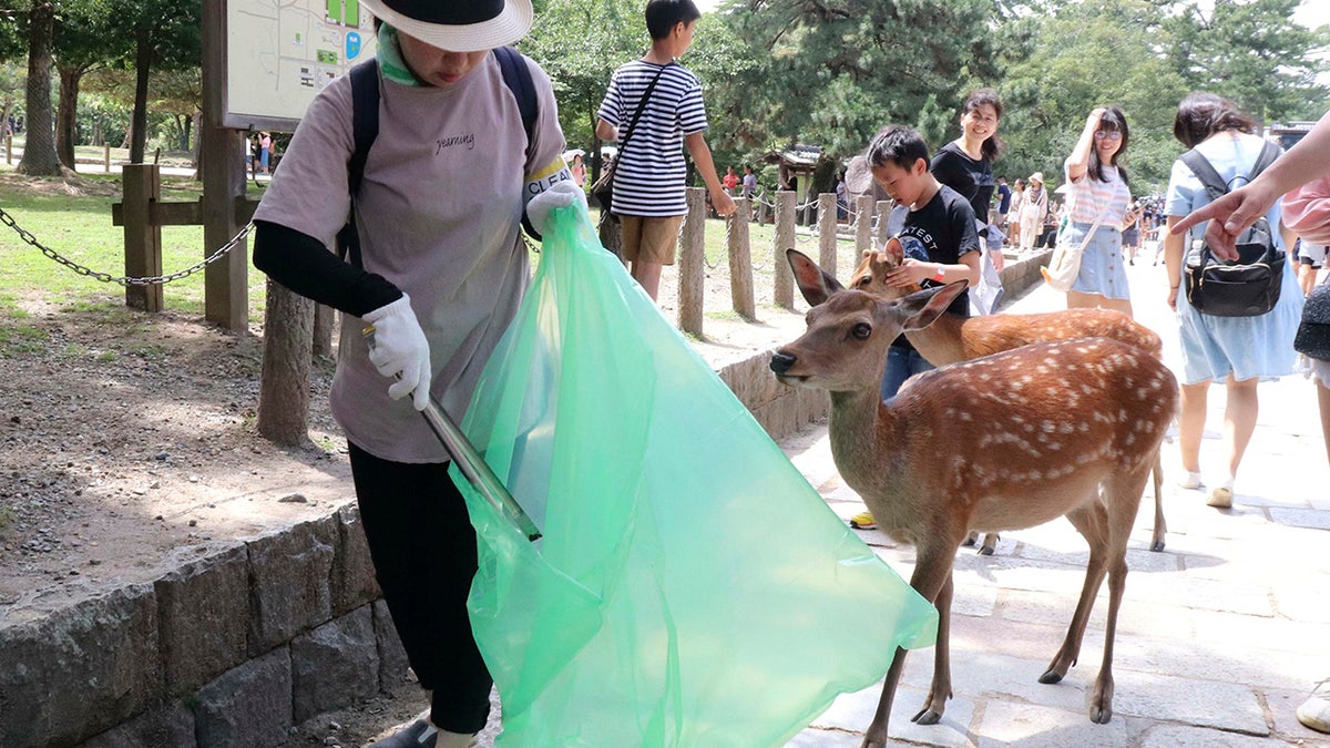 Nine deer at the park have died recently after swallowing plastic bags. Nara Park has more than 1,000 deer and tourists can feed them special sugar-free crackers sold in shops nearby. (Kyodo News via AP)