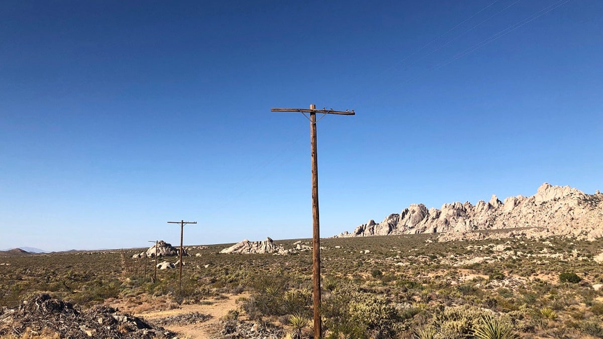 A search helicopter hovers overhead in the Mojave Desert near Needles, Calif., Saturday, July 13, 2019. Authorities in California say they are searching for a bikini-clad Arizona woman who went missing while hiking in the Mojave Desert.  (AP Photo/Dario Lopez-Mills)