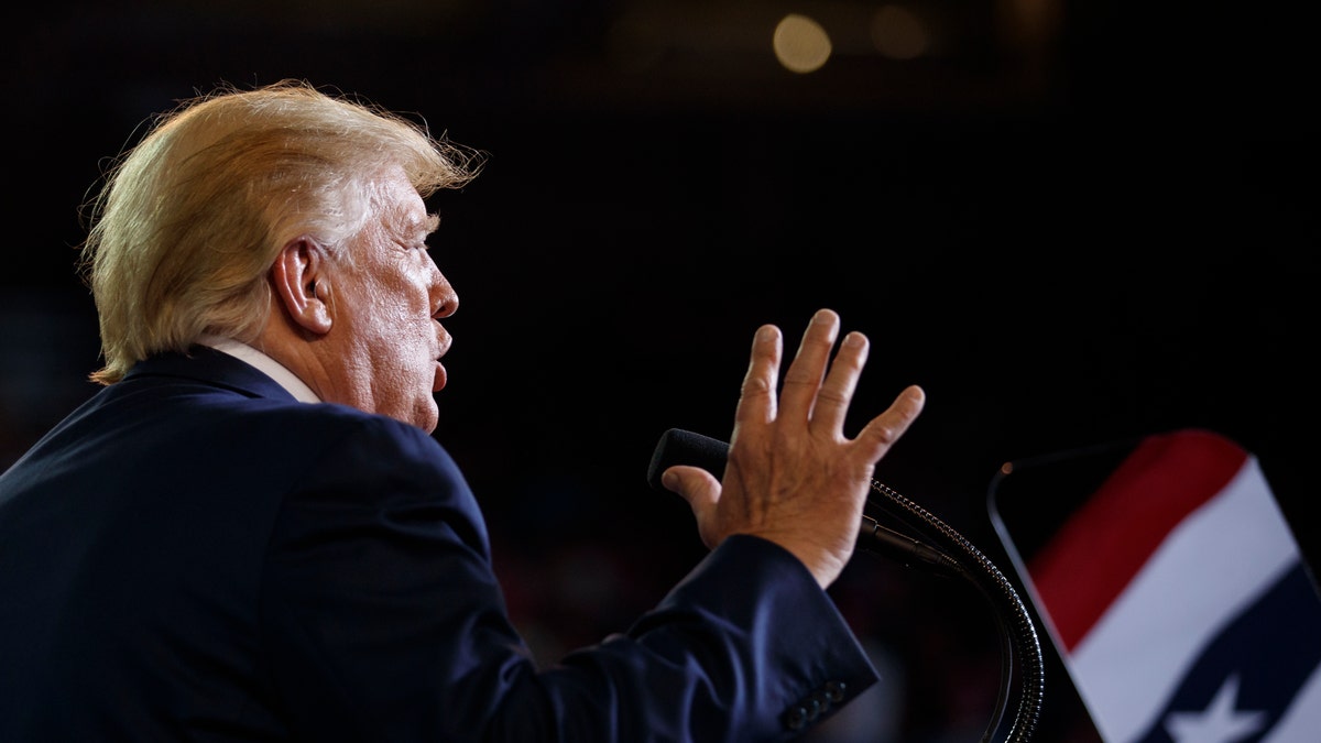 President Donald Trump speaks at a campaign rally at Williams Arena in Greenville, N.C., Wednesday, July 17, 2019. (AP Photo/Carolyn Kaster)