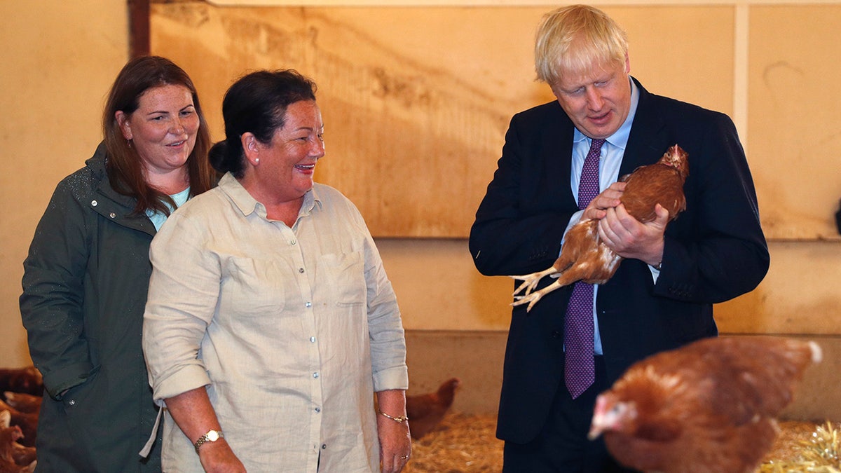 Britain's Prime Minister Boris Johnson, right, accompanied by local farmers Ingrid Shervington, second left and her daughter Victoria Shervington-Jones, inspects the chickens during his visit to rally support for his farming plans post-Brexit, at Shervington Farm, in St Brides Wentlooge near Newport, south Wales, Tuesday, July 30, 2019. 