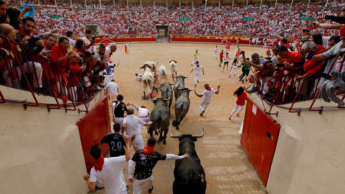 Revellers and fighting bulls arrive at the bullring during the running of the bulls at the San Fermin Festival, in Pamplona, northern Spain, Sunday, July 14, 2019.