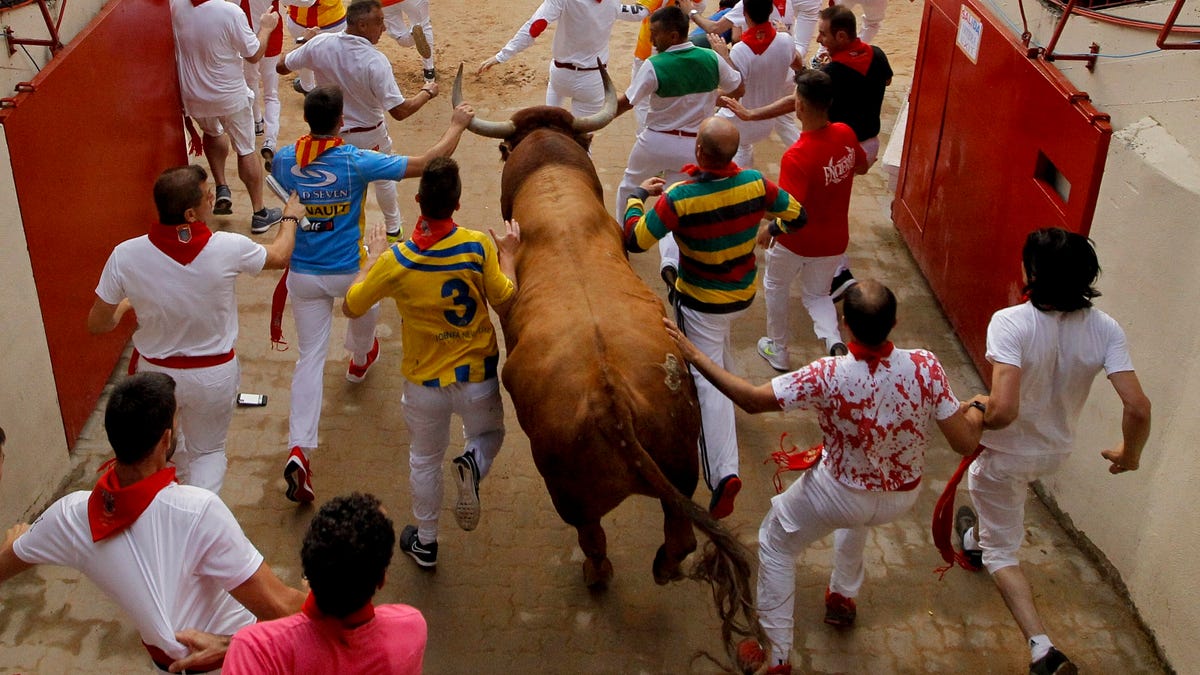 Revellers and a fighting bull arrive at the bullring during the running of the bulls at the San Fermin Festival, in Pamplona, northern Spain, Sunday, July 14, 2019.