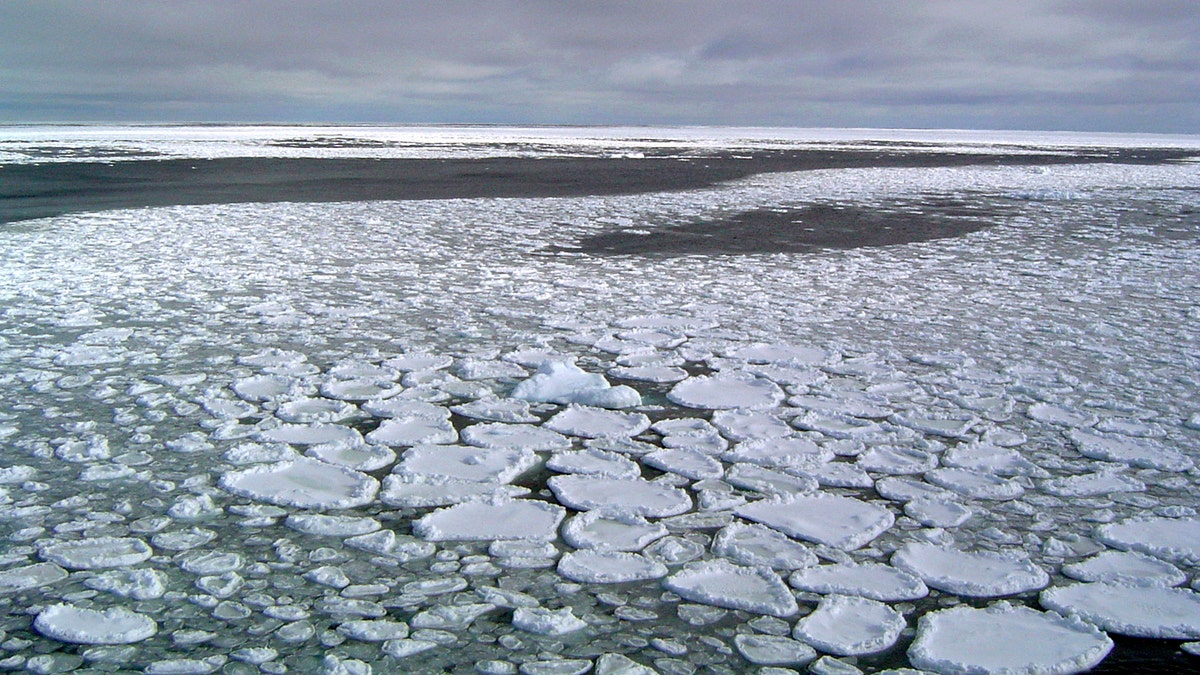 File photo: This January 2017 photo provided by Ted Scambos shows sea ice on the ocean surrounding Antarctica during an expedition to the Ross Sea. Ice in the ocean off the southern continent steadily increased from 1979 and hit a record high in 2014. But three years later, the annual average extent of Antarctic sea ice hit its lowest mark, wiping out three-and-a-half decades of gains, and then some, according to July 2019 study. (Ted Scambos/National Snow and Ice Data Center via AP)