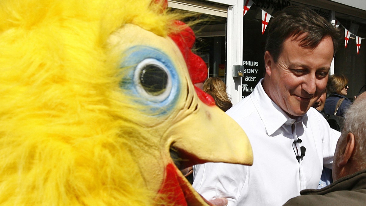 Conservative Party leader David Cameron walks around Tamworth in Staffordshire followed by a man dressed as a chicken, working for the Daily Mirror newspaper. (Photo by Johnny Green/PA Images via Getty Images)