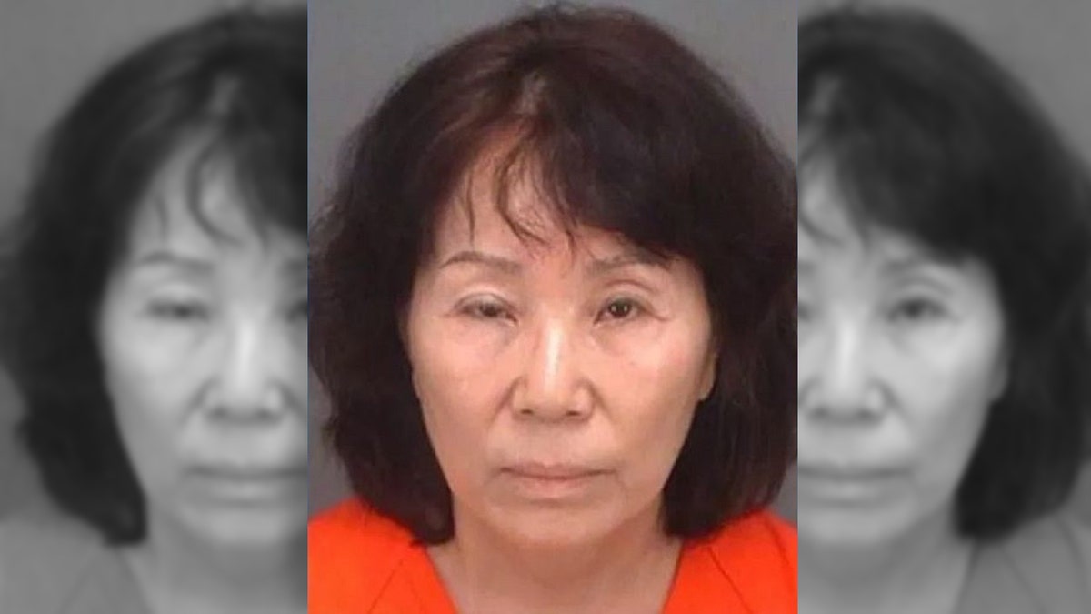 Indian Shores police arrested Jung Soon Wypcha, 66, after she was caught on Lu Lu’s Ice Cream and Candy Shop’s surveillance.