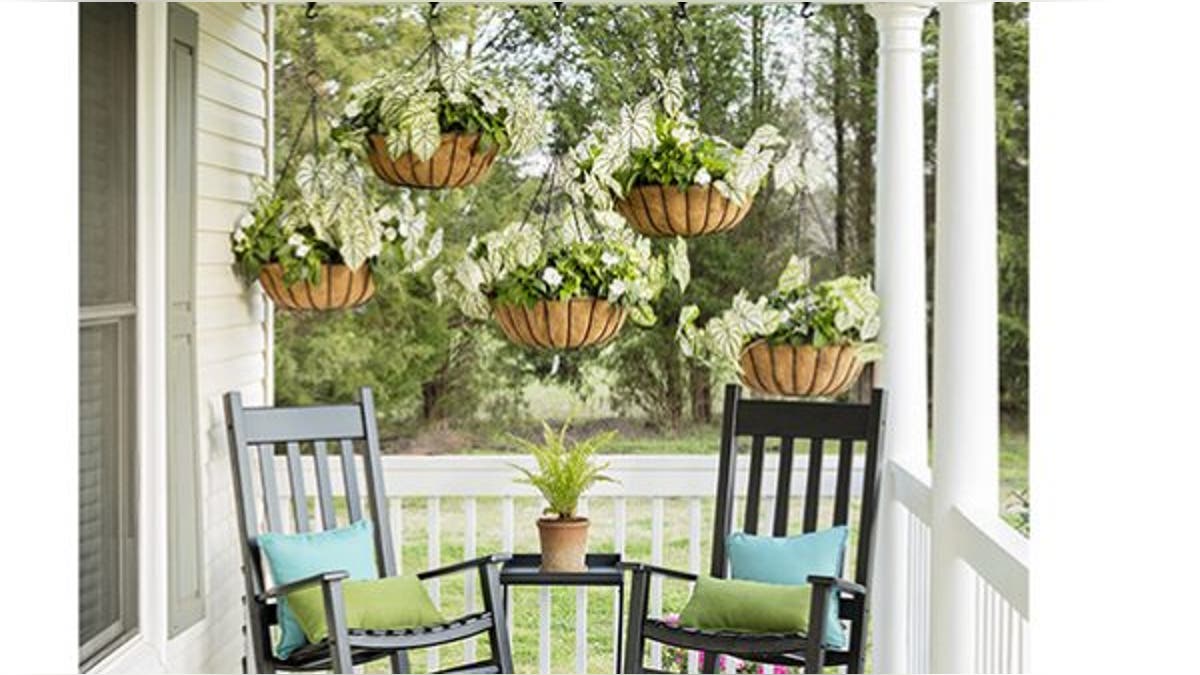 Plants add life — literally — while also creating a makeshift divider between your porch area and the neighbor's yard.