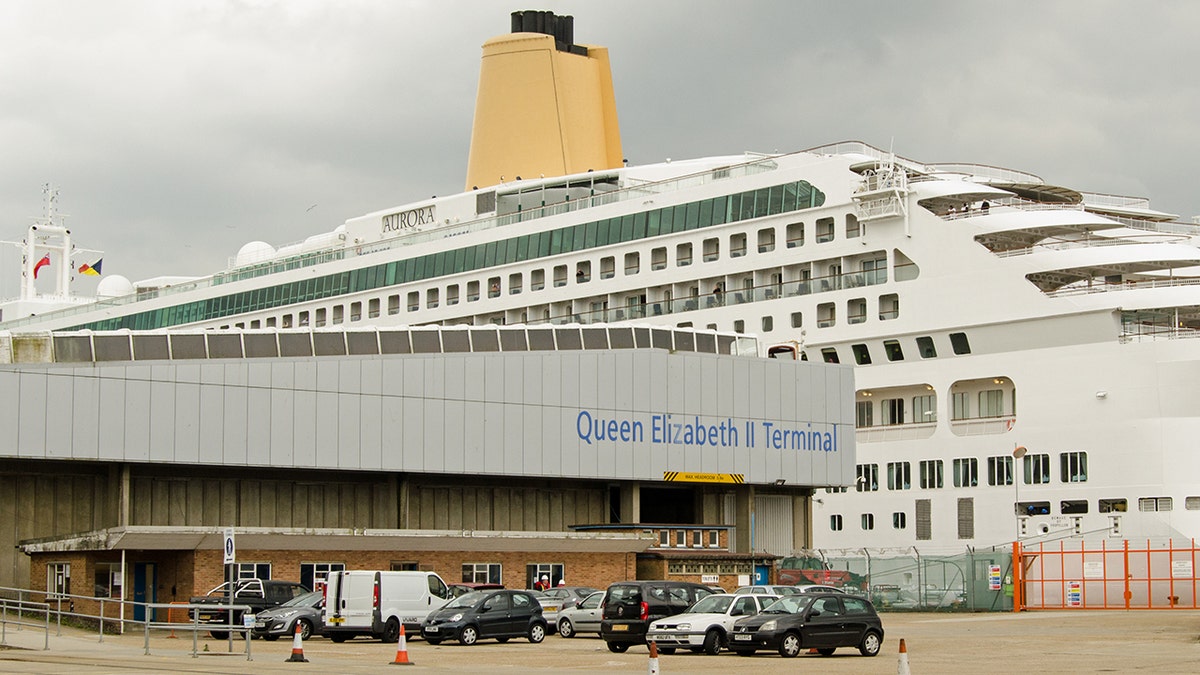 Police arrested two individuals at the Southampton cruise terminal following a brawl on a P&amp;O ship.