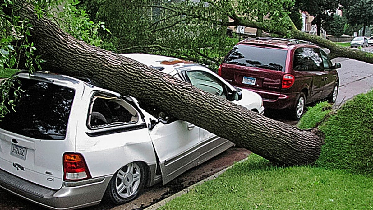 A tree uprooted by a morning storm crushes a vehicle parked outside an apartment building, in Mankato, Minn., Saturday, July 20, 2019.