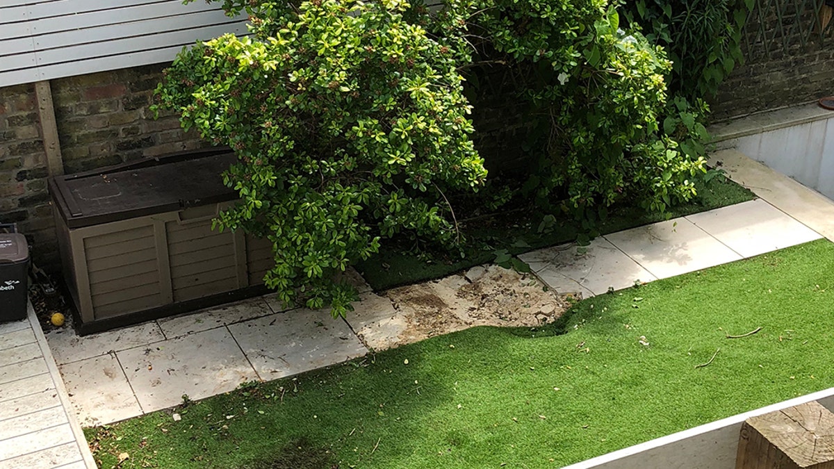 The force of the body falling from a commercial airplane dented paving slabs and astro-turf in a back yard in Clapham, South London. (SWNS)
