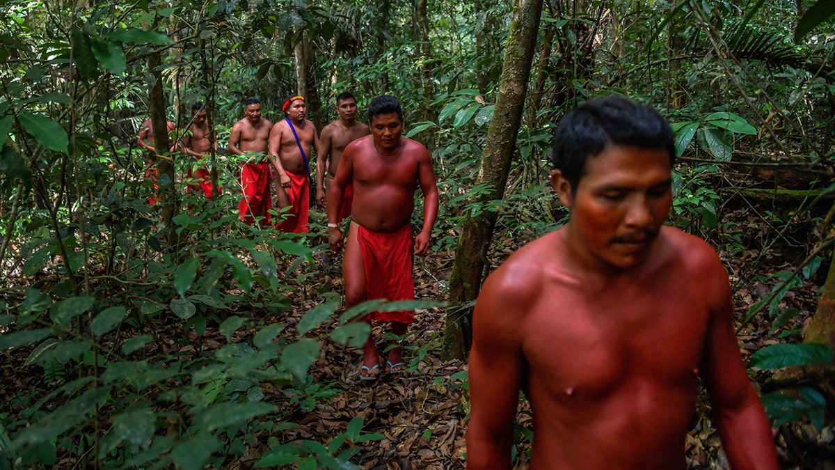 Waiapi men walk into the jungle at the Waiapi indigenous reserve in Amapa state in Brazil on October 14, 2017. (APU GOMES/AFP/Getty Images)