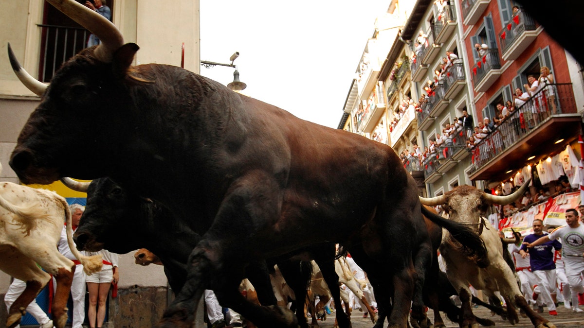 Revellers run next to fighting bulls from Cebada Gago ranch, during the running of the bulls at the San Fermin Festival, in Pamplona, northern Spain, Monday, July 8, 2019. (AP Photo/Alvaro Barrientos)