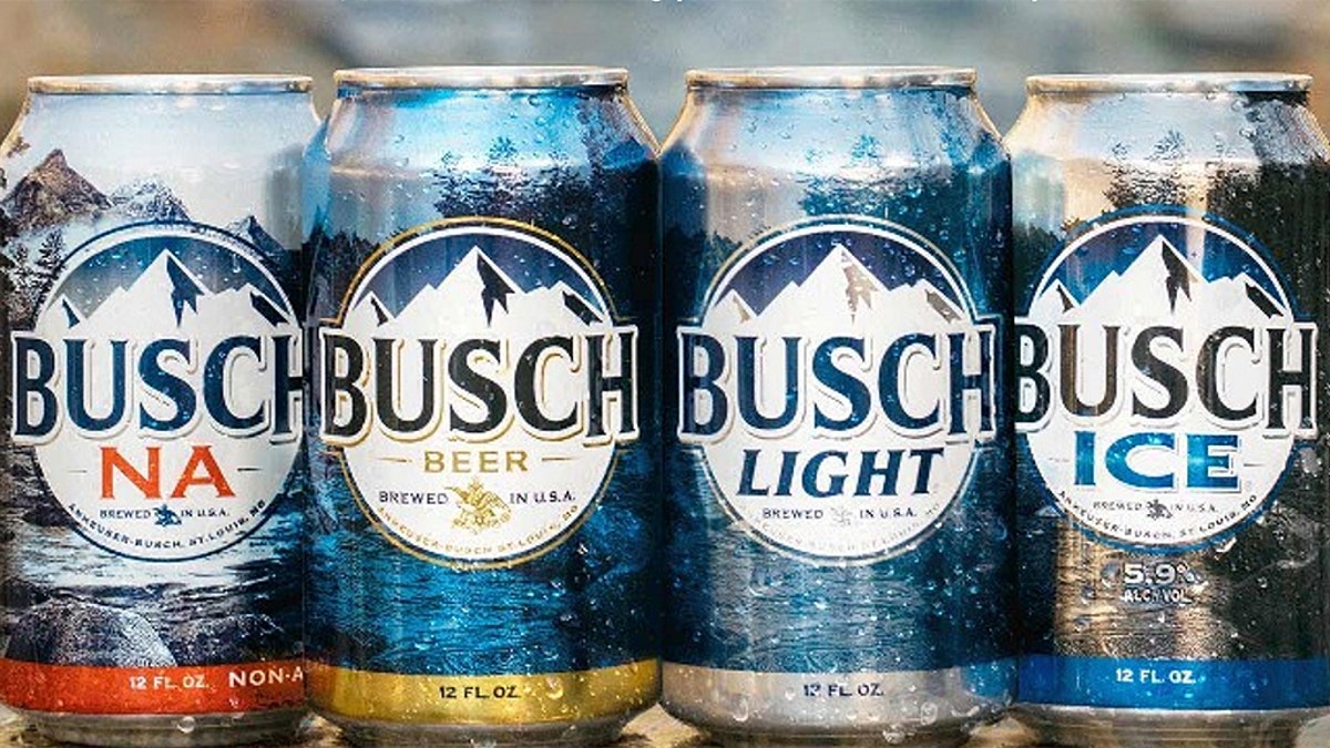 busch beer