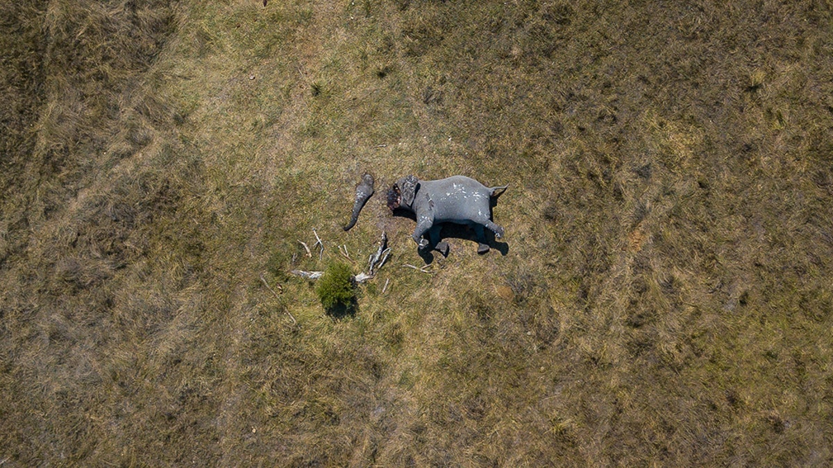 The picture by Justin Sullivan/Magnus News shows a drone photograph called "Disconnection." (Credit: Justin Sullivan/Magnus News Agency)