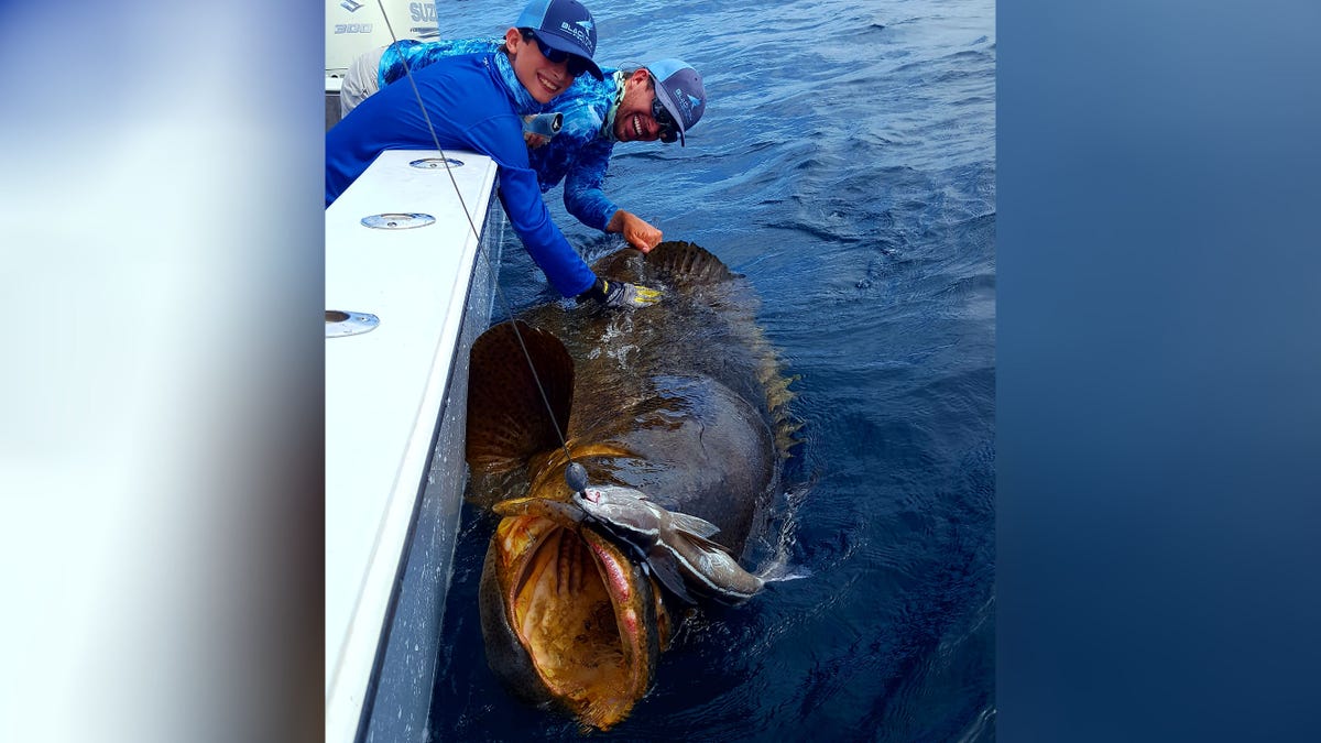 best fishing rod for goliath grouper