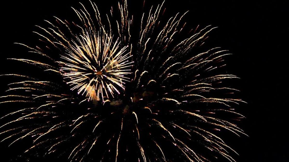 An Ohio was killed Tuesday after he was accidentally struck in the chest by a firework display.