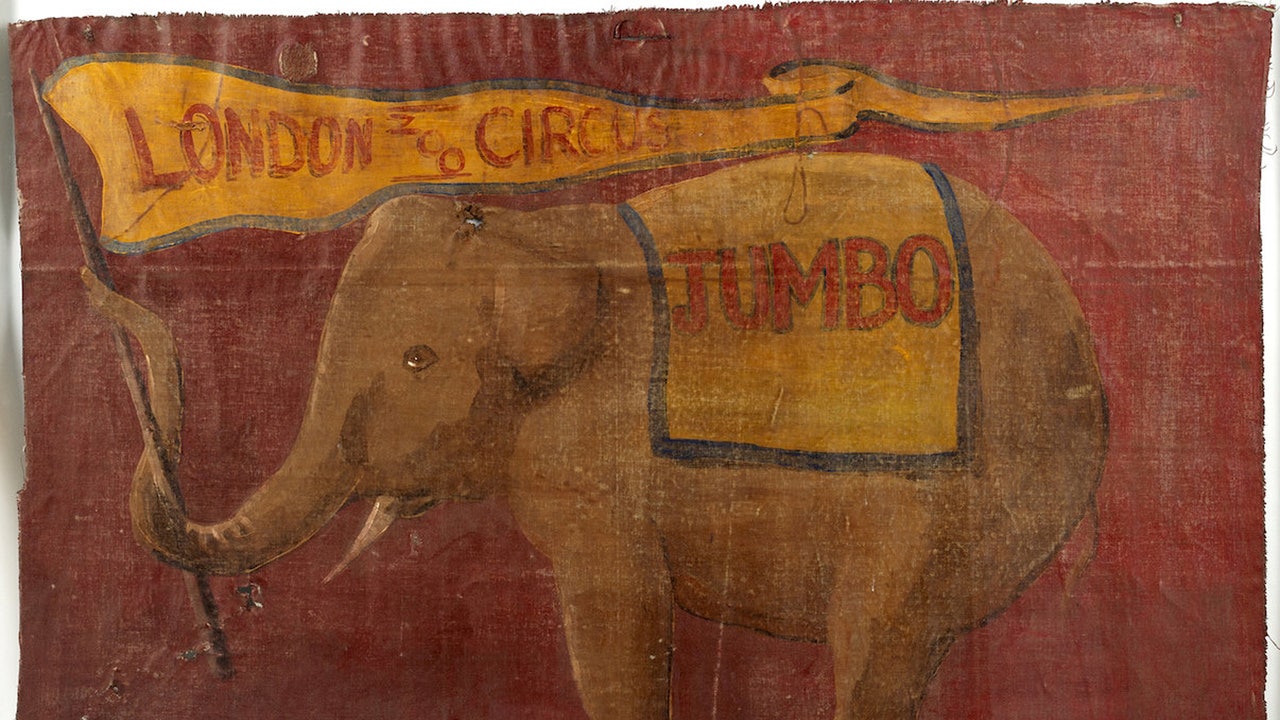 dumbo-elephant.jpg?ve=1&tl=1