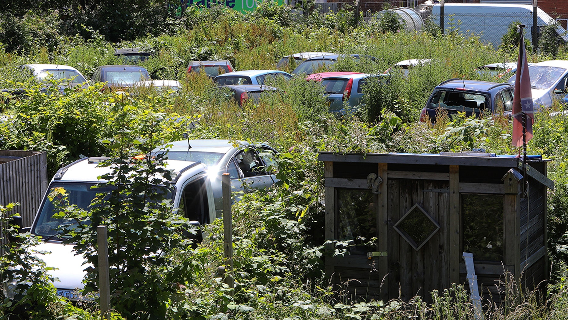Mysterious car graveyard growing behind homes in suburban lot Lot-3