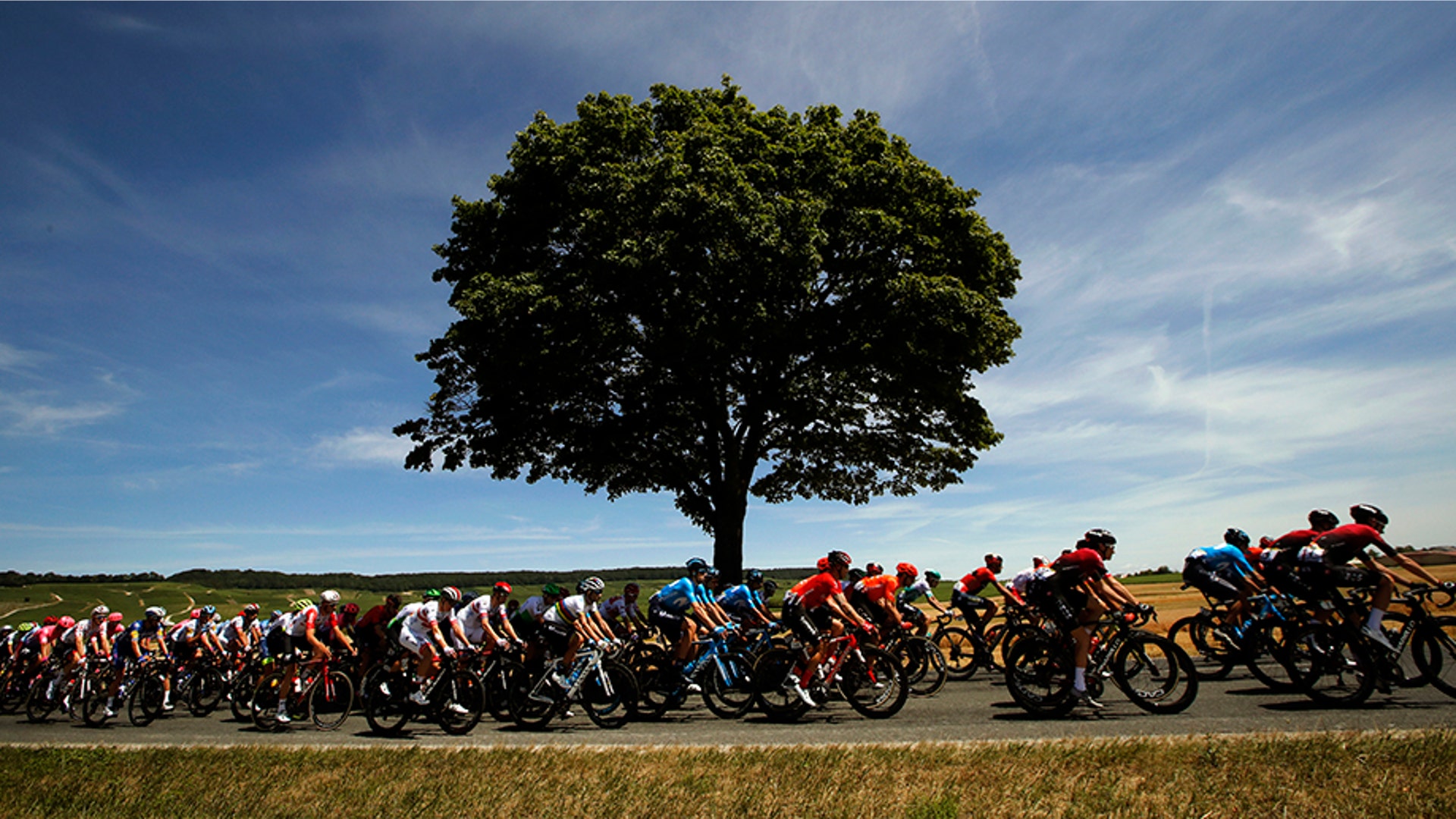The pack rides during the fourth stage of the Tour de France cycling race over 133 miles with a start in Reims and finish in Nancy, France, July 9, 2019.