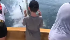 SEE IT: Believed great white shark breaches water in Cape Cod, stuns family on fishing boat