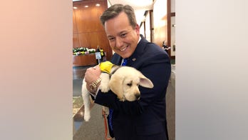 The Daily Spike: The power of serving