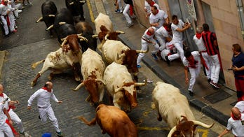 San Francisco man gored in neck during Pamplona bull run, officials say