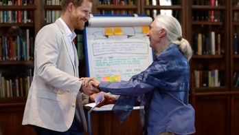 Prince Harry dances with Dr. Jane Goodall at Windsor Castle