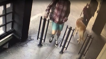 San Francisco woman's pet dog stolen in front of market on video