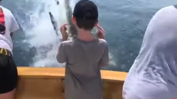 SEE IT: Believed great white shark breaches water in Cape Cod, stuns family on fishing boat