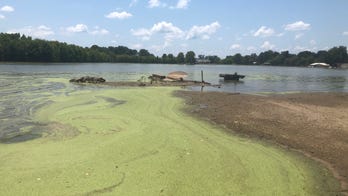 Mississippi farmers suffering after widespread flooding prevents crops from being planted